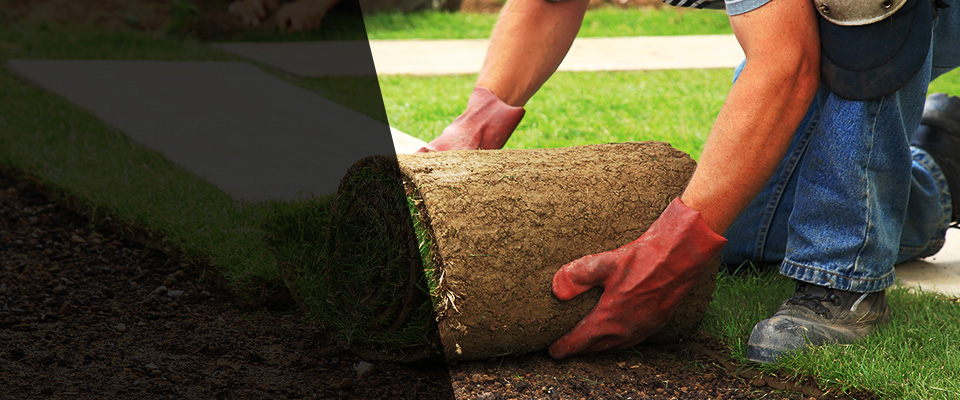 Zolfo Springs Landscapers